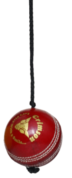 Hanging Leather Balls