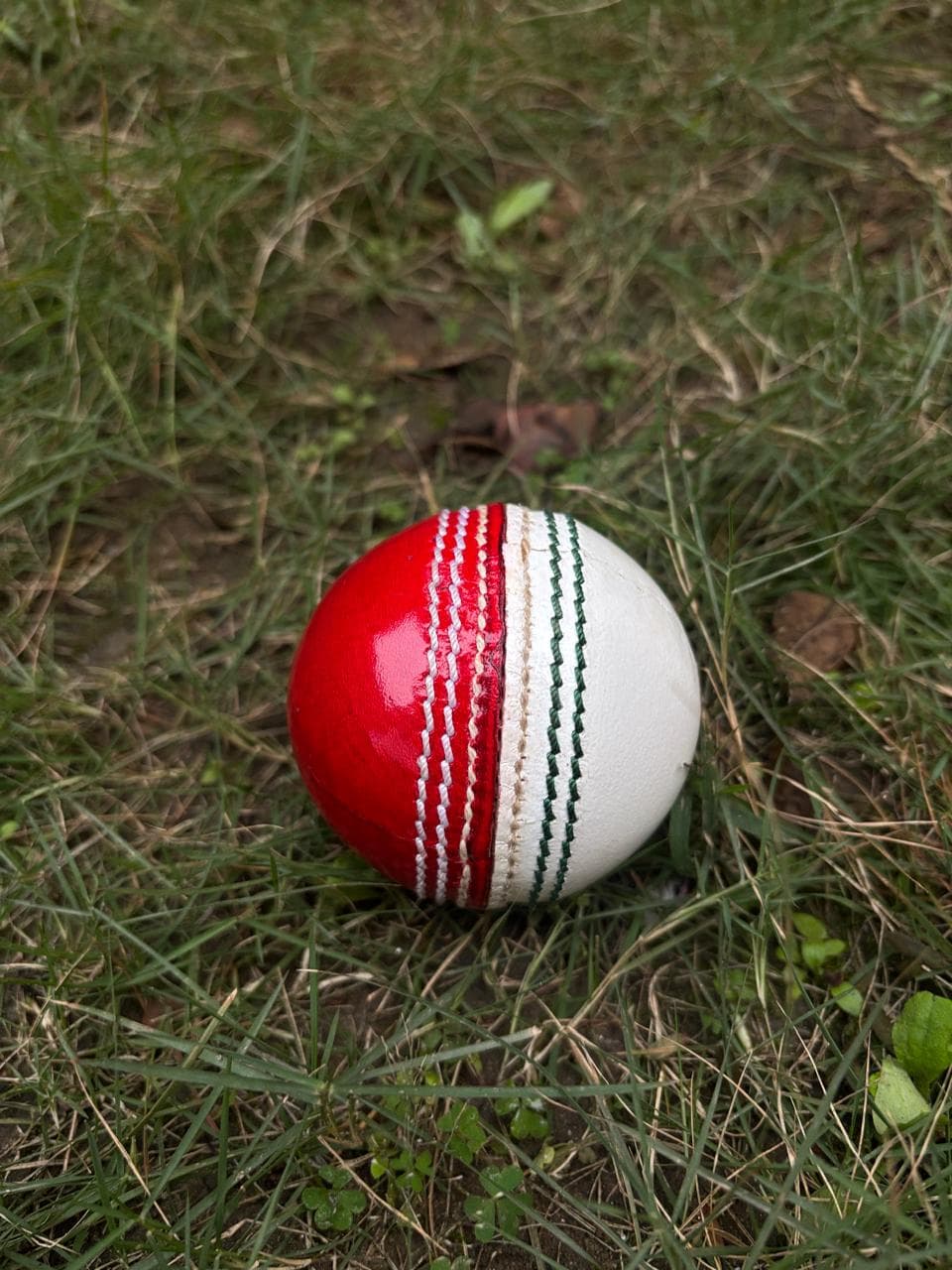 Training Balls thumbnail 2