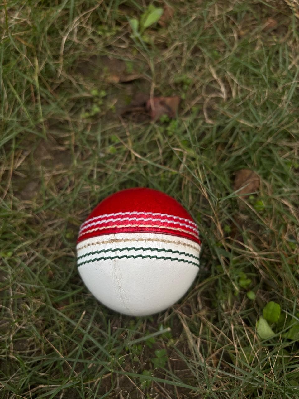 Training Balls thumbnail 3